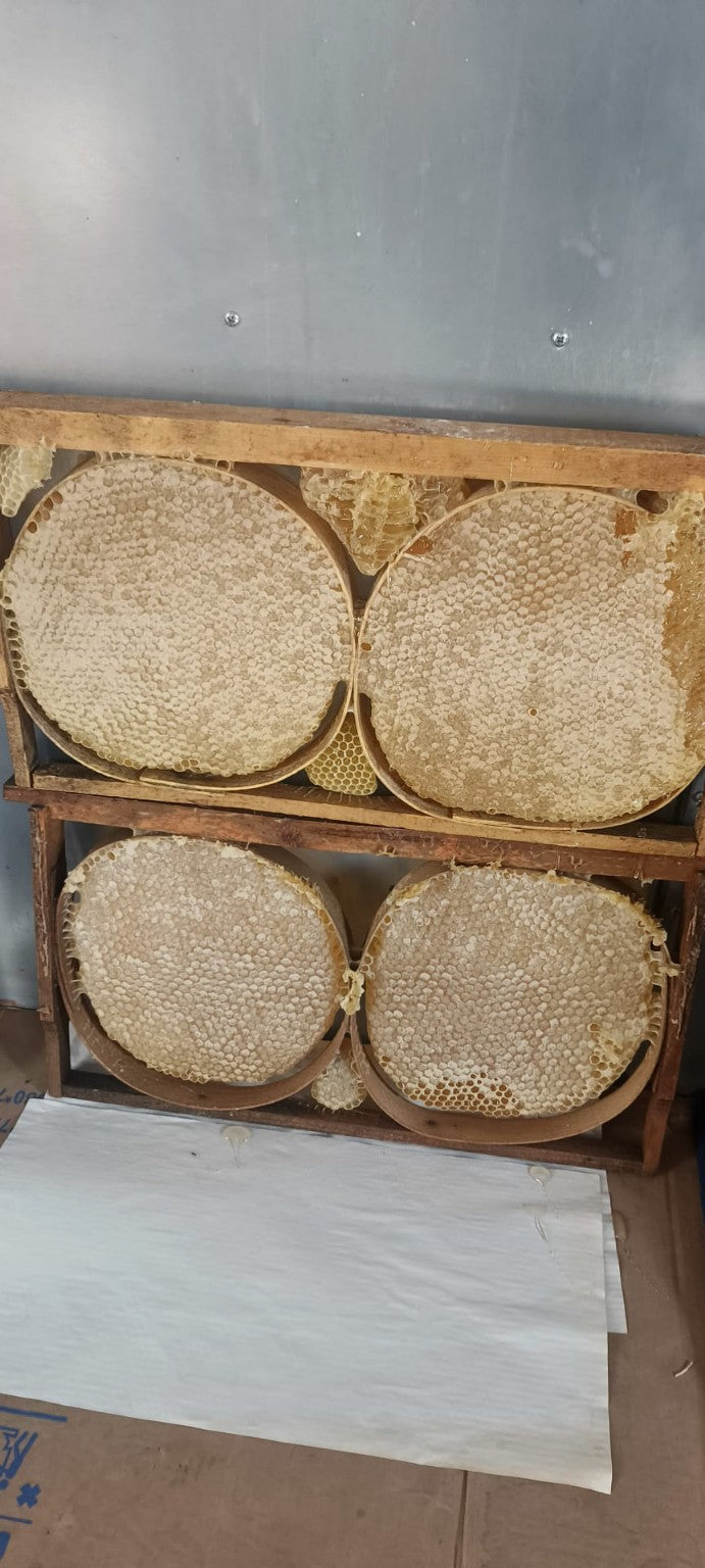 Erzurum Yöresel Petek Balı 1 KG – Gerçek Hasattan Sofranıza 🍯