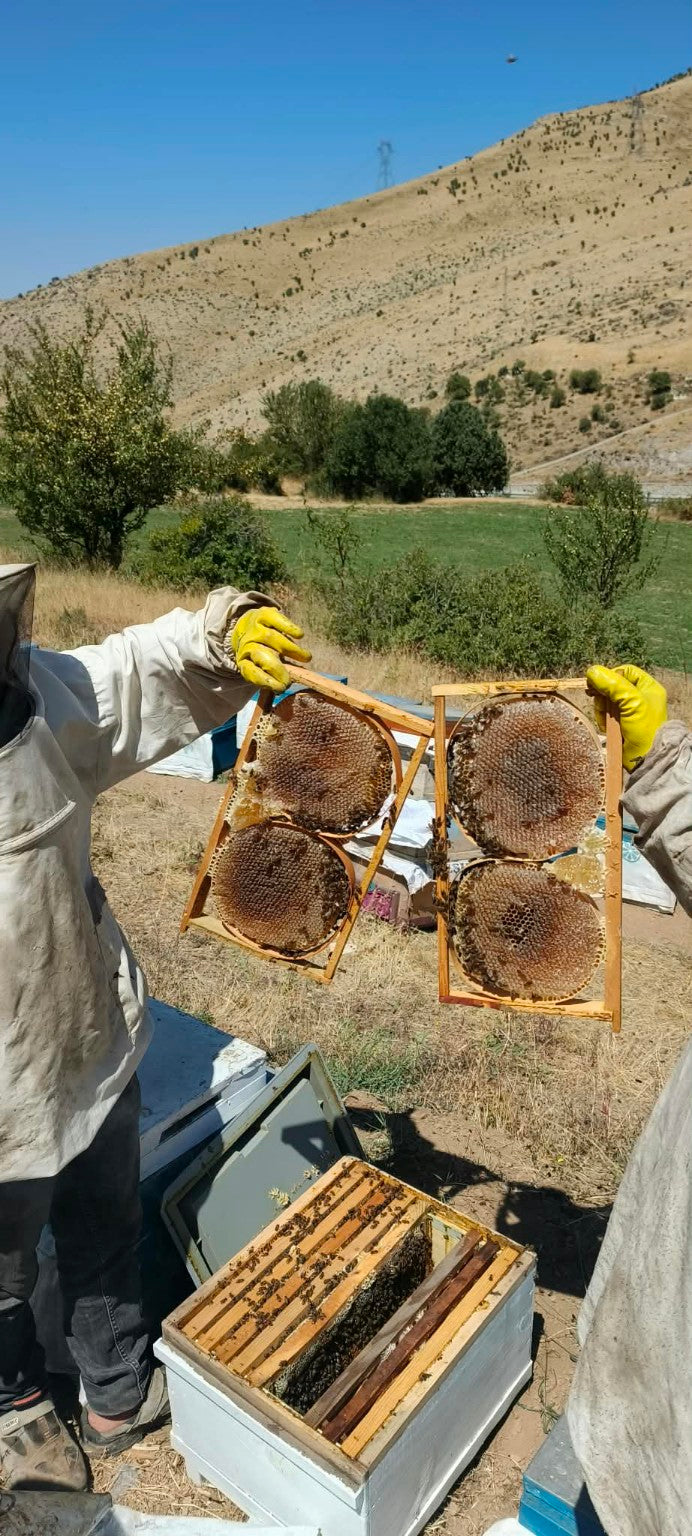 Erzurum Yöresel Petek Balı 1 KG – Gerçek Hasattan Sofranıza 🍯