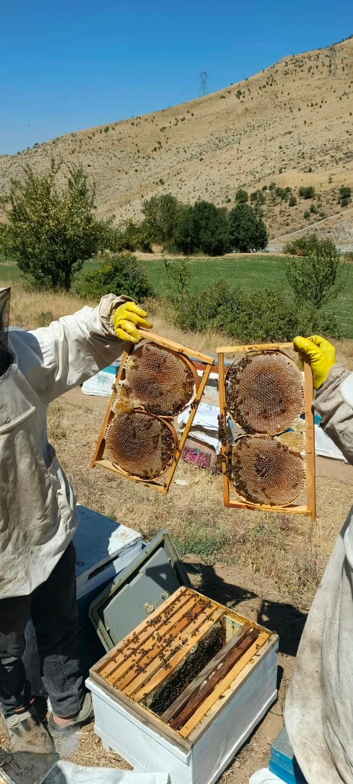 Erzurum Yöresel Petek Balı 1 KG – Gerçek Hasattan Sofranıza 🍯